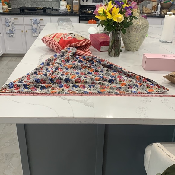 NFL Vintage Team Helmet Prints Featuring 49rs Carrying Blanket.‎ - Picture 5 of 9